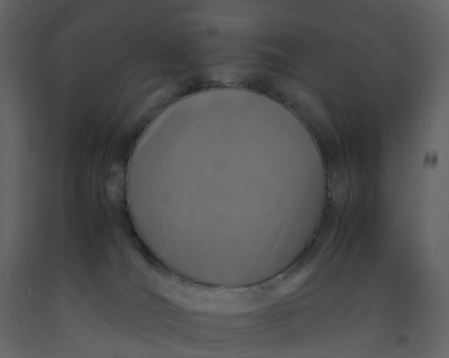 X0000092250036200710051308