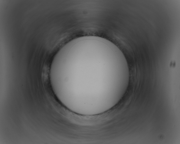 X0000092250038200710051308