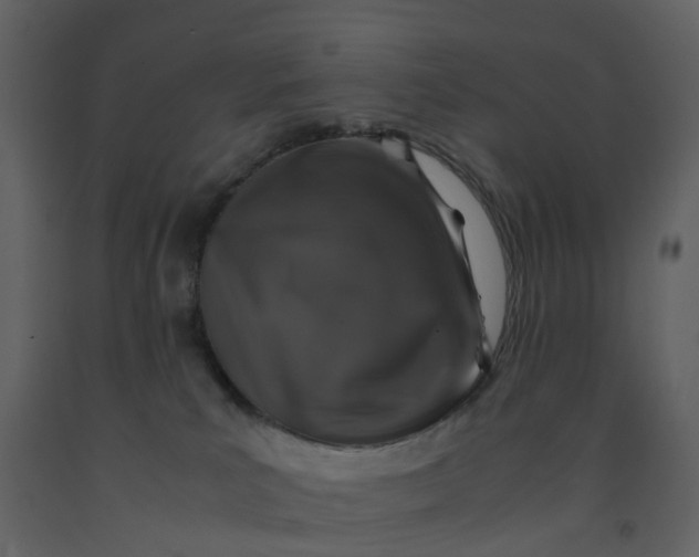 X0000092250039200710051308