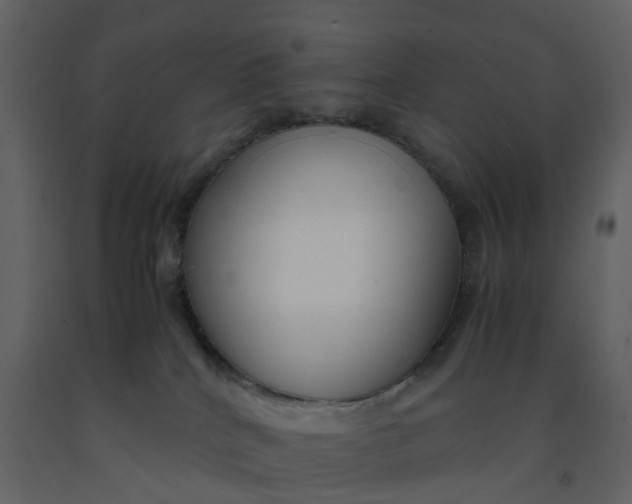 X0000092250040200710051308