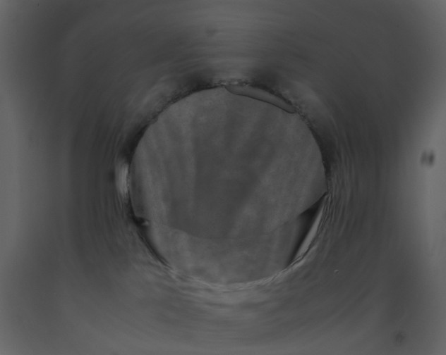 X0000092250041200710051308