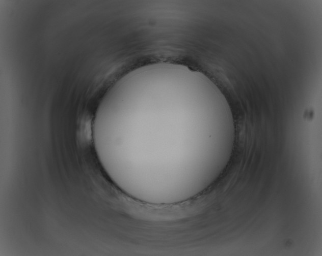 X0000092250042200710051308
