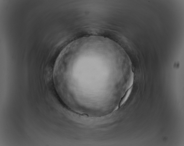 X0000092250043200710051308