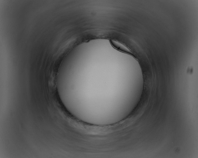 X0000092250044200710051308