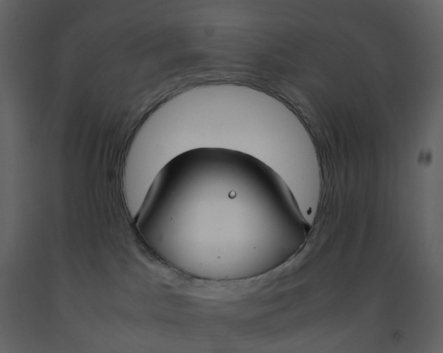 X0000092250045200710051308
