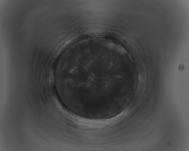 X0000092250048200710051308
