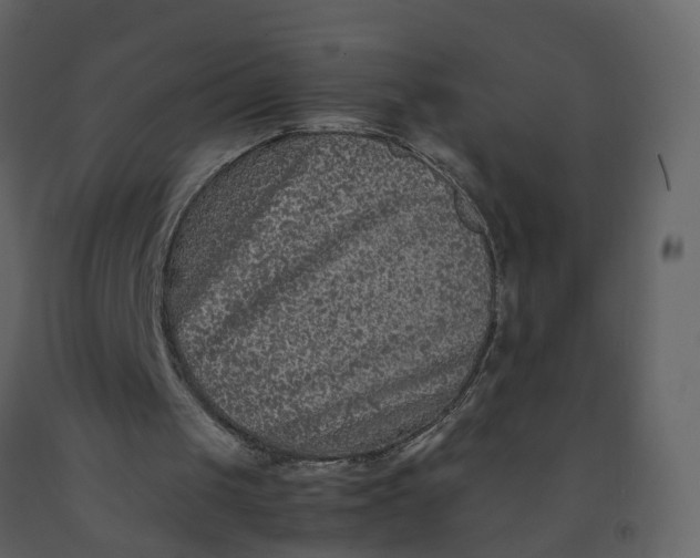 X0000092250049200710051307