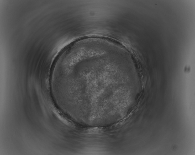 X0000092250050200710051307