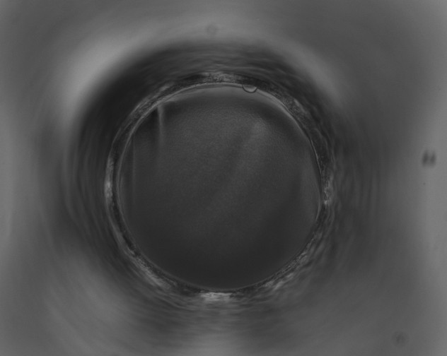 X0000092250052200710051307