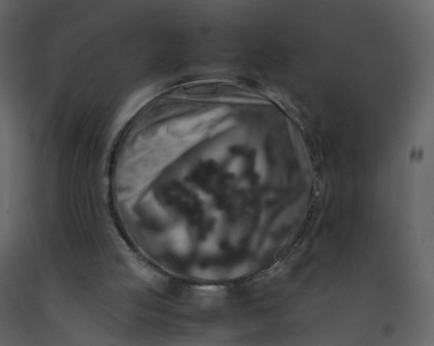 X0000092250053200710051307
