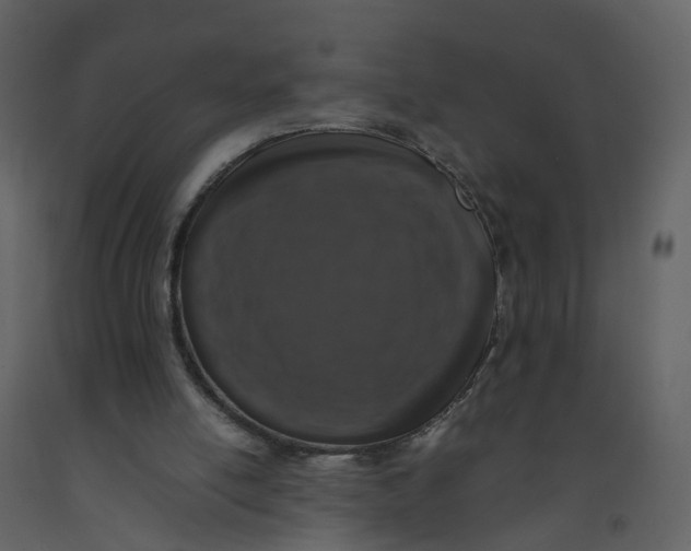 X0000092250054200710051307