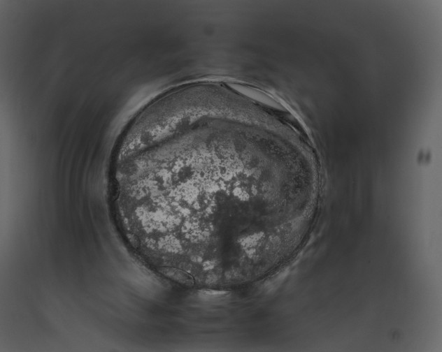 X0000092250055200710051307