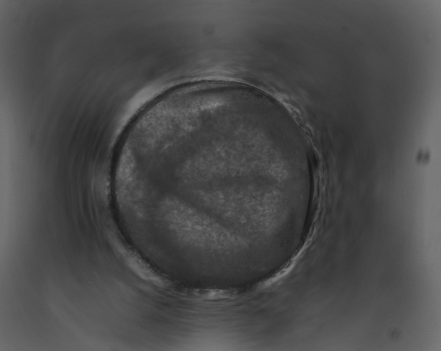 X0000092250056200710051307