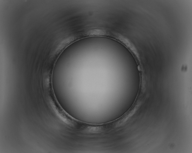 X0000092250057200710051307