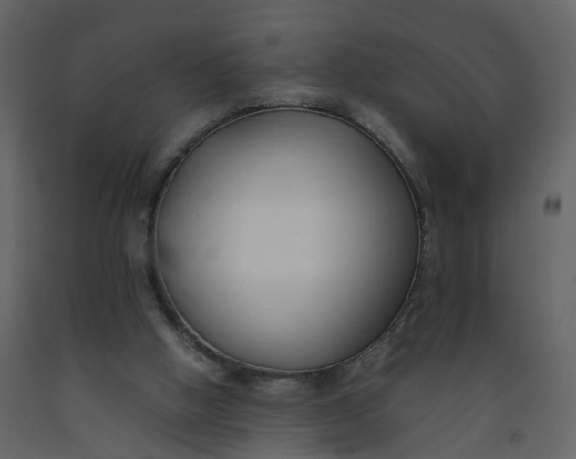 X0000092250058200710051307