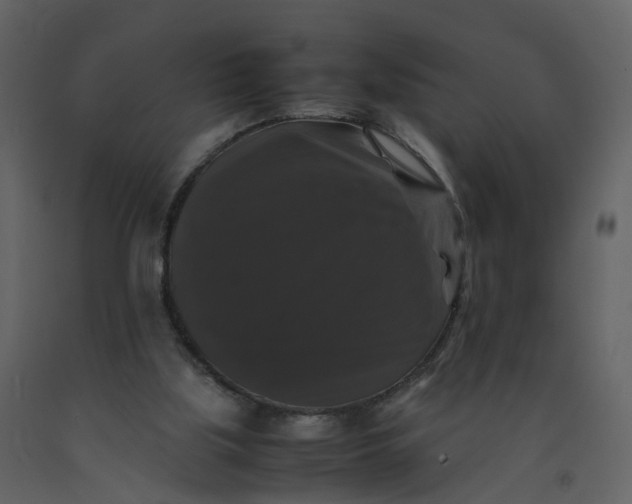 X0000092250059200710051307
