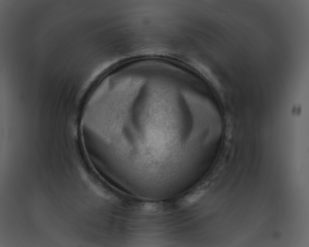 X0000092250060200710051307