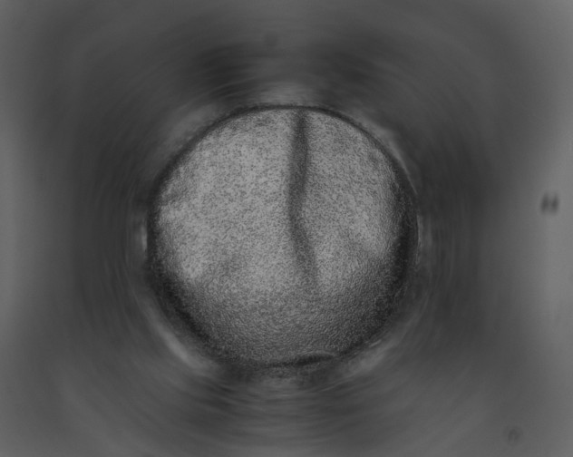 X0000092250061200710051307