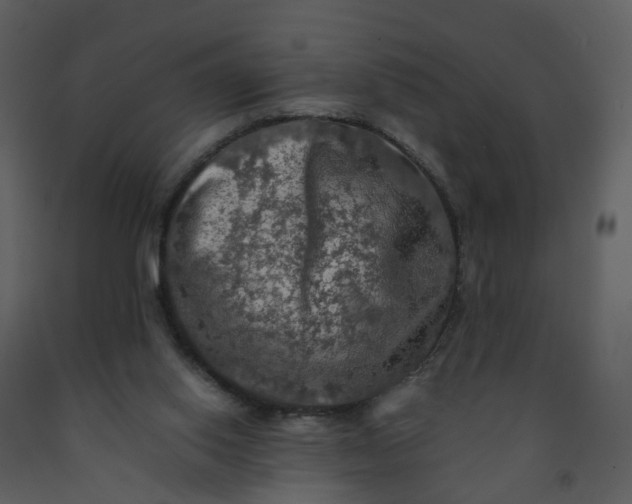 X0000092250062200710051307
