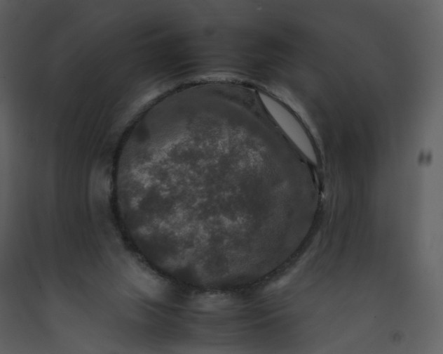 X0000092250063200710051307