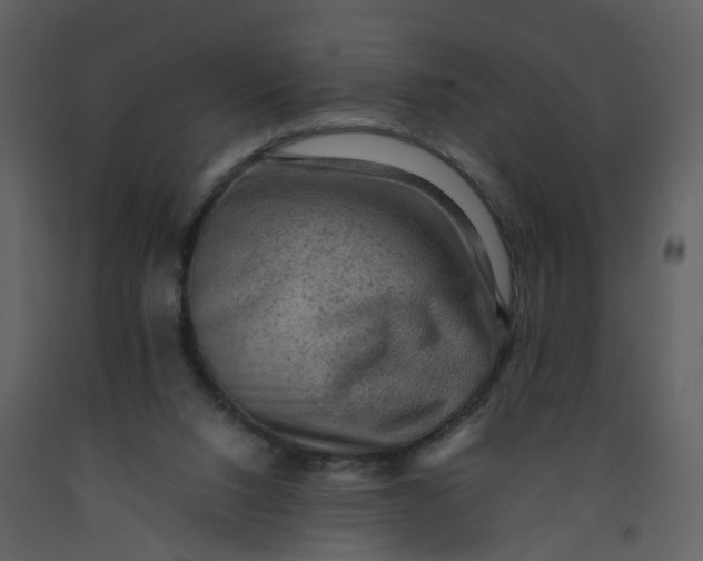 X0000092250064200710051307
