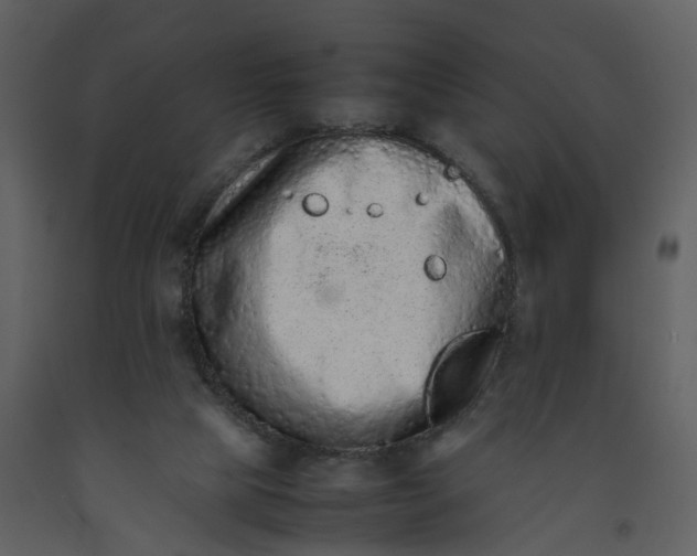 X0000092250065200710051307