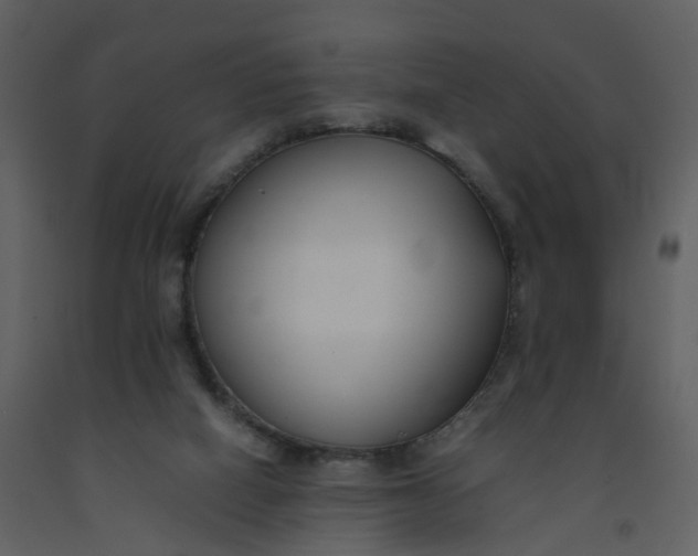 X0000092250066200710051307