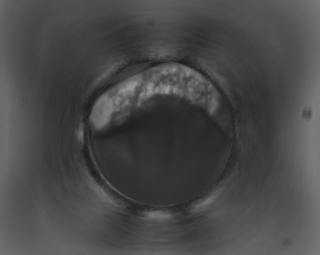 X0000092250067200710051307