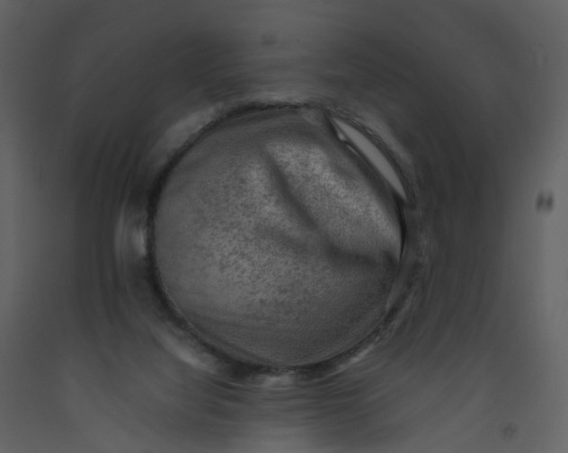 X0000092250068200710051307
