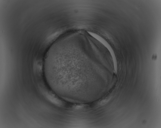 X0000092250072200710051307