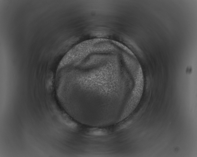 X0000092250073200710051307