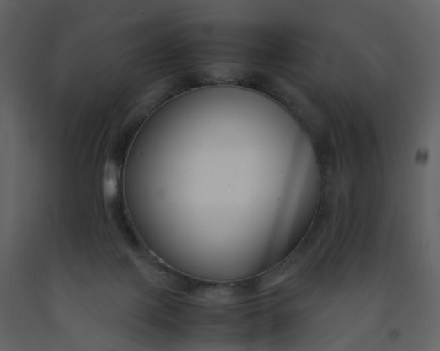 X0000092250075200710051307