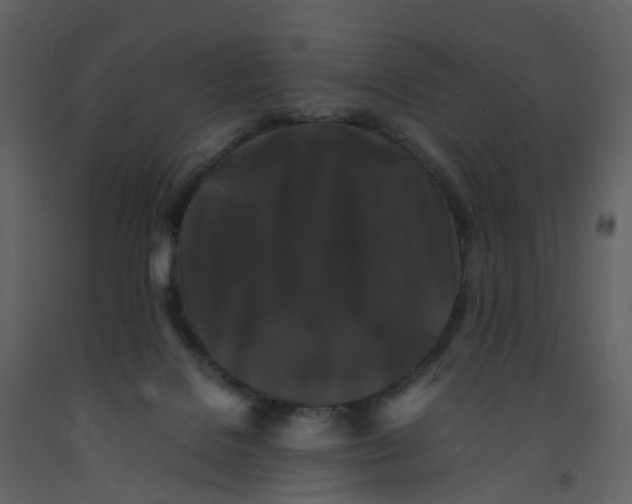 X0000092250076200710051307