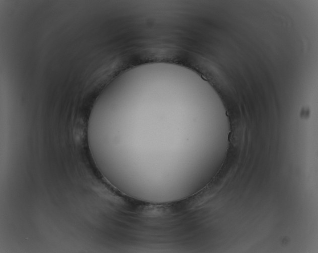 X0000092250077200710051307