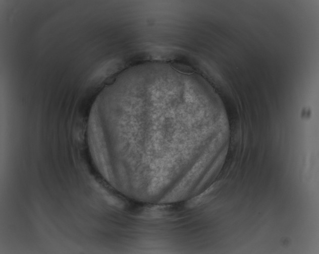 X0000092250078200710051307