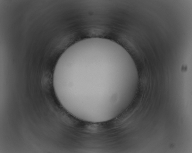 X0000092250079200710051307