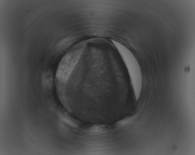 X0000092250080200710051307