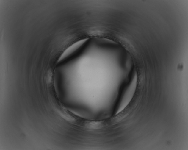 X0000092250081200710051308