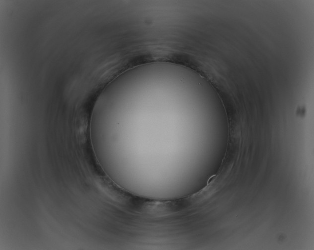 X0000092250082200710051308