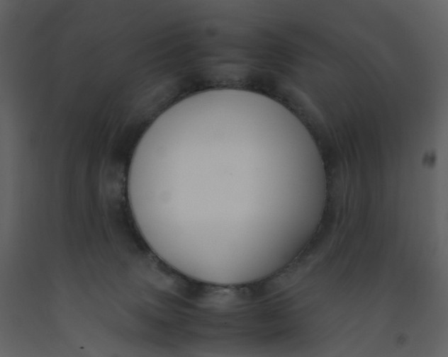 X0000092250083200710051308