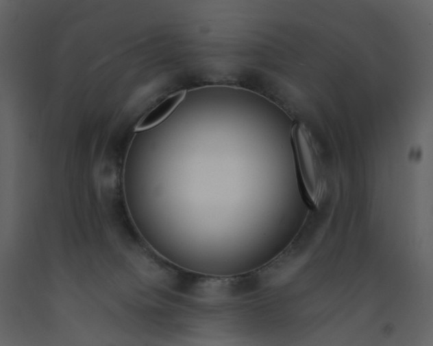 X0000092250084200710051308