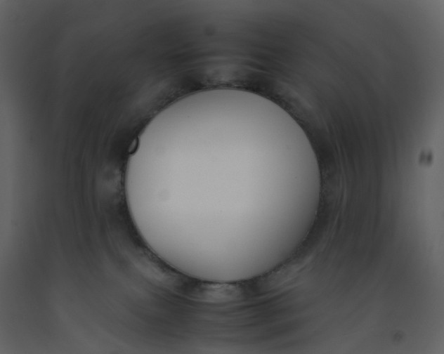 X0000092250087200710051308