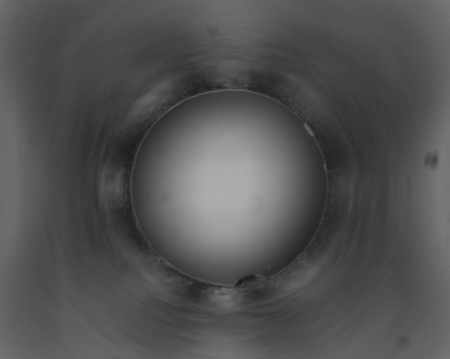 X0000092250088200710051308