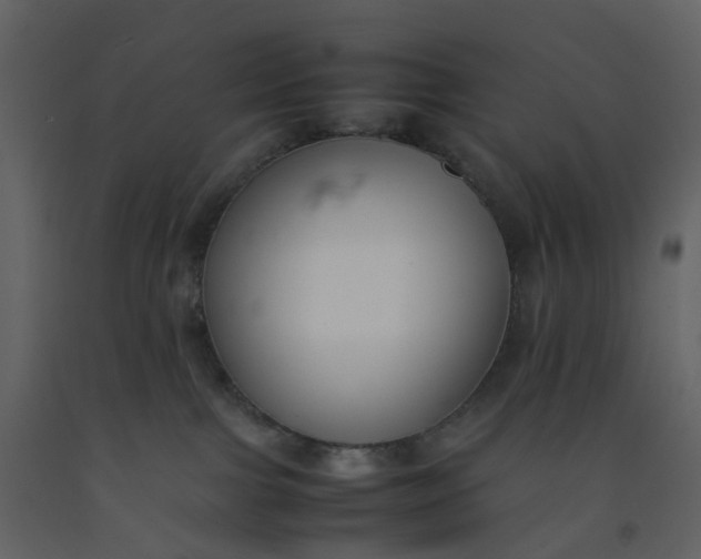 X0000092250091200710051308