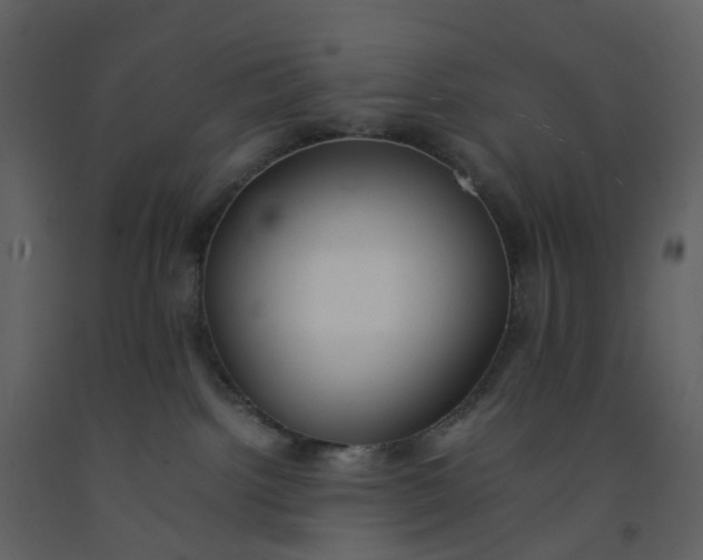 X0000092250092200710051308