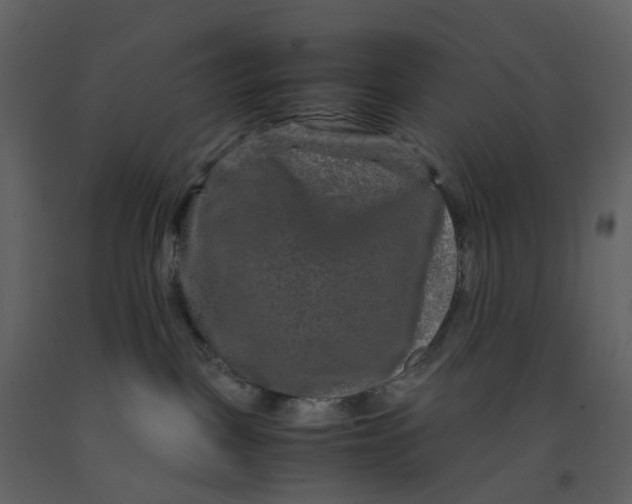X0000092250093200710051308