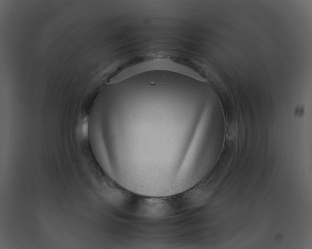 X0000092250095200710051308