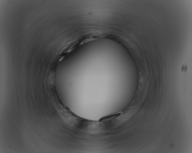 X0000092250096200710051308