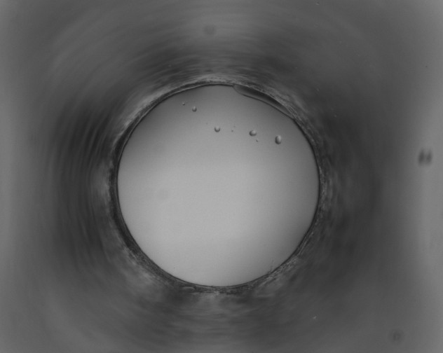 X0000092250098200710051307