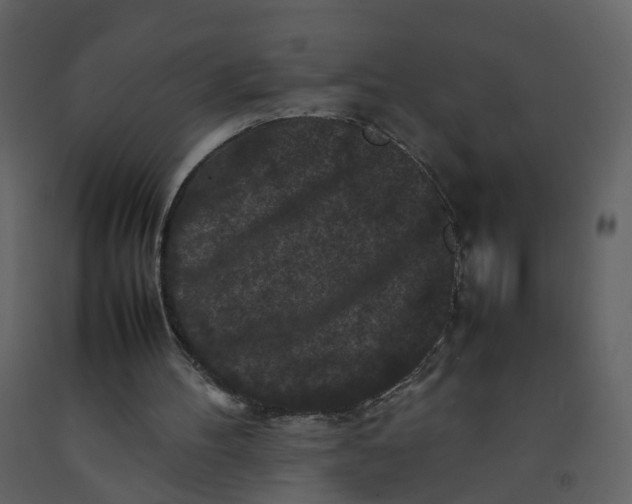 X0000092250100200710051307